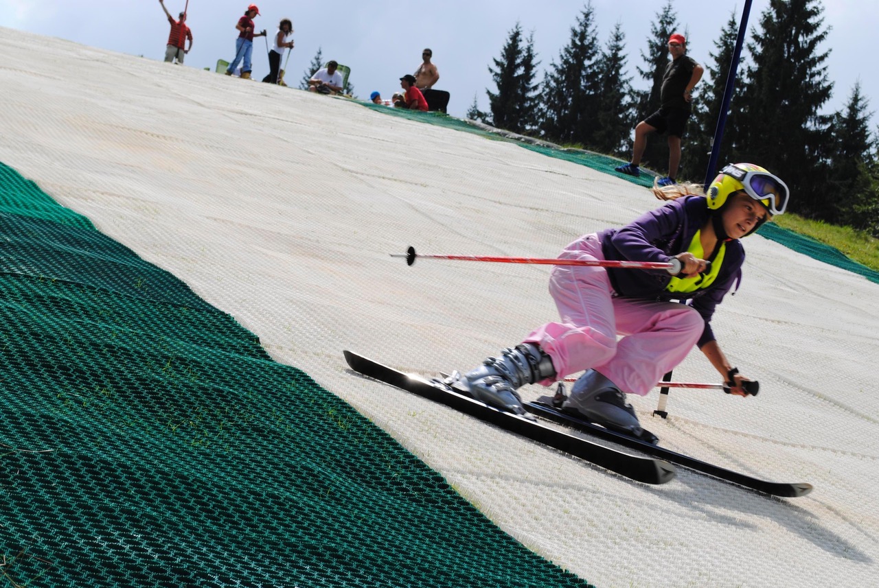 Ski 1